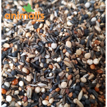 Graines de condition 1kg - "Condition 216" - Vrac