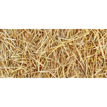 Palha de trigo 10kg - Jopack