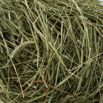 Foin Sec 13 kg - Hippo Hay