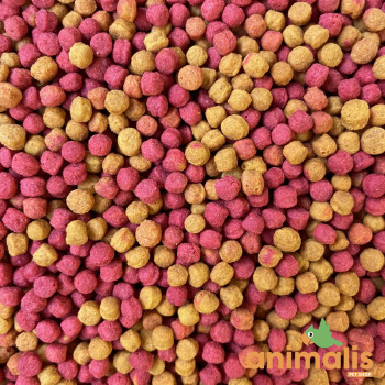 Soft red fruit pearls 1kg - Bulk