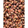 Noix de cèdre 1,8kg Noix de cèdre 1,8kg