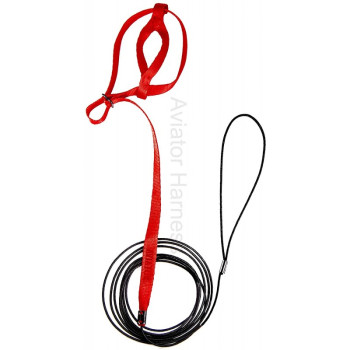 Harness for parrots Aviator - Medium/Red
