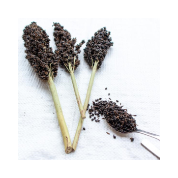 Sorghum noir 1kg - Sorgho...