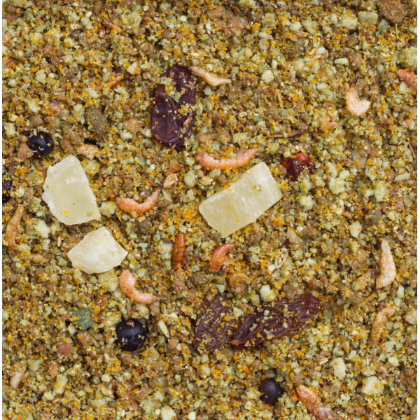 Fruittaart 1kg - Déli Nature