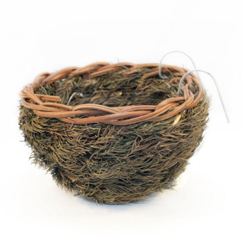 12 cm nest in natural fir...