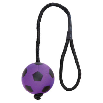 Purple Soccer Ball on Rope
