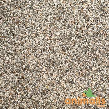 Seed mix for Exotic Animals 221 Animalis - 20kg