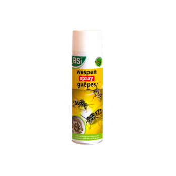 BSI Spray Anti-guêpes 500ml