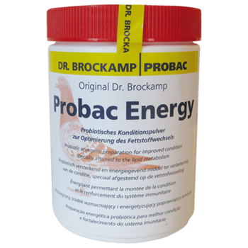 Probac Energy 500g