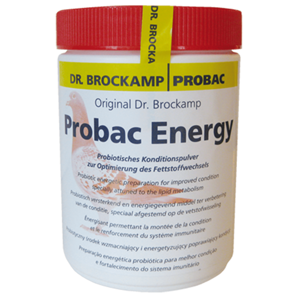 Probac Energy 500g