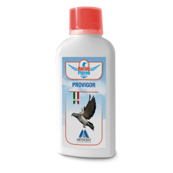 Racing Pigeon Provigor 1L - For optimal condition