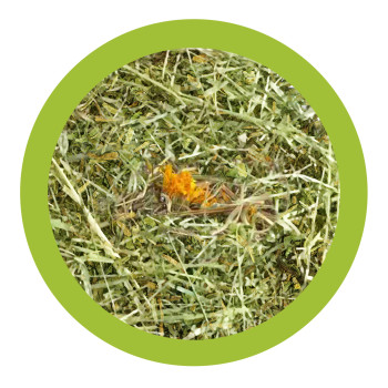 Dispenser with Mountain Hay + Dandelion 700g - Paglianatura