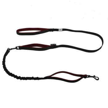 Explor fit 2in1 leash...