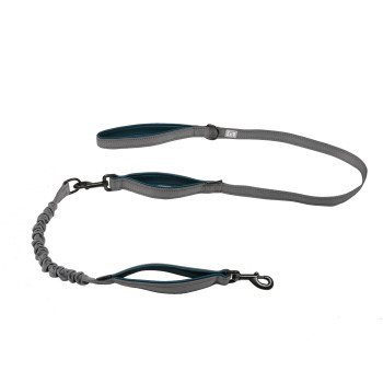 Explor fit 2in1 leash...