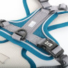 Explor Geschirr klassisch petrol blau M - 40-49cm - 49-65cm Explor Geschirr klassisch petrol blau M - 40-49cm - 49-65cm