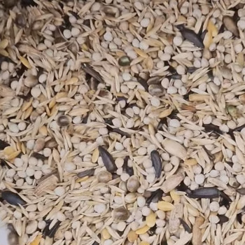 Mélange chardonneret Carduelis Excellent 1kg - Bird Supreme - Vrac