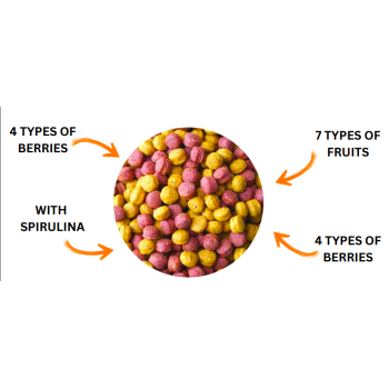 VItal Pellets Fruit & Vegetable Blend 10kg - Your Parrot - Extrudés aux fruits et légumes
