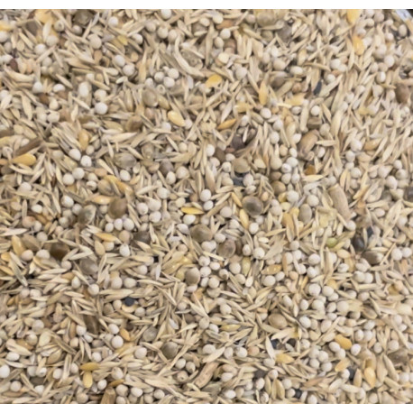 Goldfinch Mix Carduelis Gold Excellent 1kg - Bird Supreme Goldfinch Mix Carduelis Gold Excellent 1kg - Bird Supreme