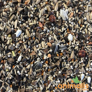 Bullfinches Excellent 15kg - Bird Supreme