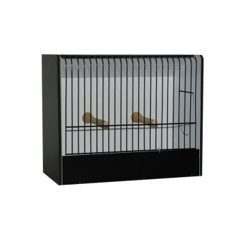 Cage d'exposition petite perruche