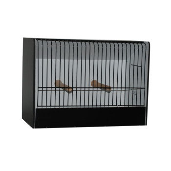 Cage d'exposition caille et euphèmes en PVC