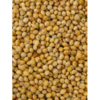 Millet jaune 20kg