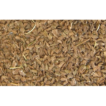 Carrot seeds 2,5kg - Blattner