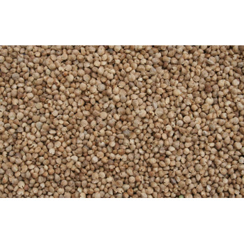 Spinach seeds 5kg - Blattner