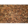 Medium Pine Seeds 5kg - Blattner Medium Pine Seeds 5kg - Blattner