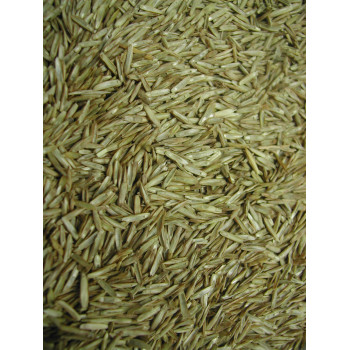 Fine erbe seed 15kg