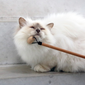 Houtkleurige kattensocializer - 4x2x35cm - Lou