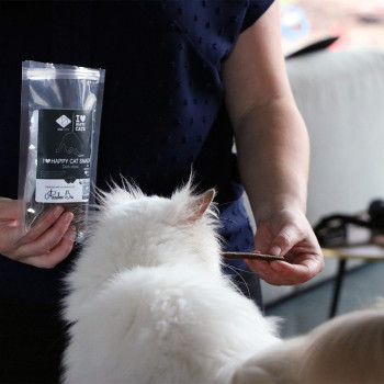 Beef sticks - 70g - 11cm - I love happy cat snack