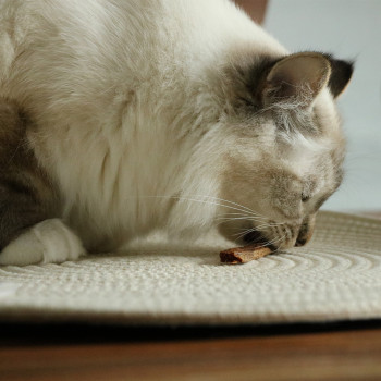 Entenstäbchen - 70g - 11cm - Ich liebe glückliche Katzensnacks