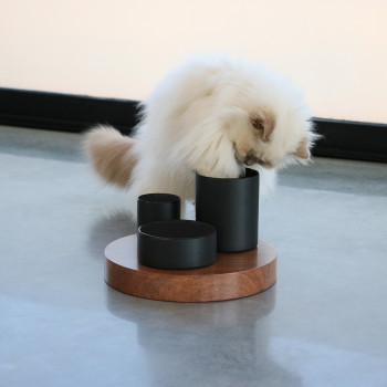 Zwarte 3 Hoogte Kattenverrijkingsbak - Iggy - 240-500-800ml