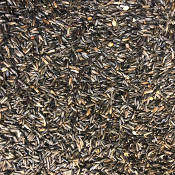 Niger à germer 1kg - Blattner - Vrac