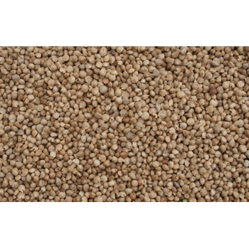 copy of Spinach seeds 5kg -...