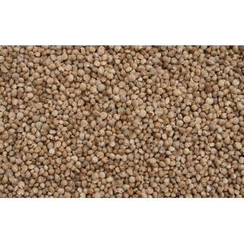 Graines d'épinards 1kg - Blattner