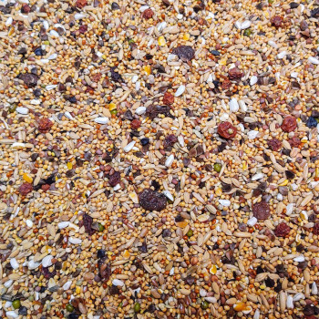 4681 - Grote Parkiet Mix Excellent 20kg