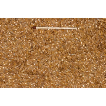 Graines de Lin Jaune 5kg - Blattner