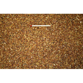 Clover Seeds 5kg - Blattner