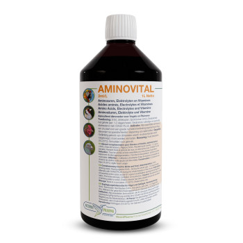 Aminovital 1L - Aminosäuren, Elektrolyte und Vitamine - NeorniPharma