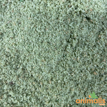 Verduri Fettpastete 1kg - Gemüsepastete