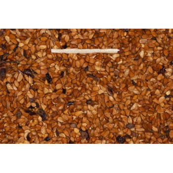 Rosehip Seed 1kg - Rosehips - Blattner