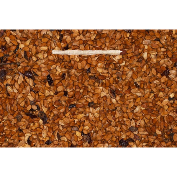 Graine d'églantier 1kg - Cynorrhodons - Blattner - Vrac