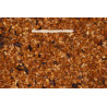Graine d'églantier 1kg - Cynorrhodons - Blattner - Vrac Graine d'églantier 1kg - Cynorrhodons - Blattner - Vrac