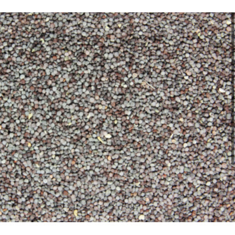 Chickweed seeds 100g Chickweed seeds 100g