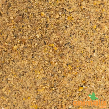 H2 Chick - Starter Meal for Chick 20kg - Gold 1 Mash