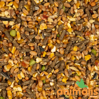 LMX - Laying hen mix 20kg - Gold 4 Mix