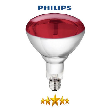 250 watt Infrared Bulb -...