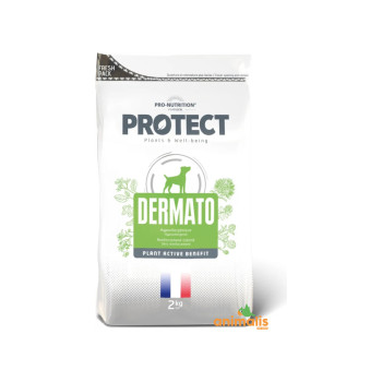Protect Dermato chien 2kg